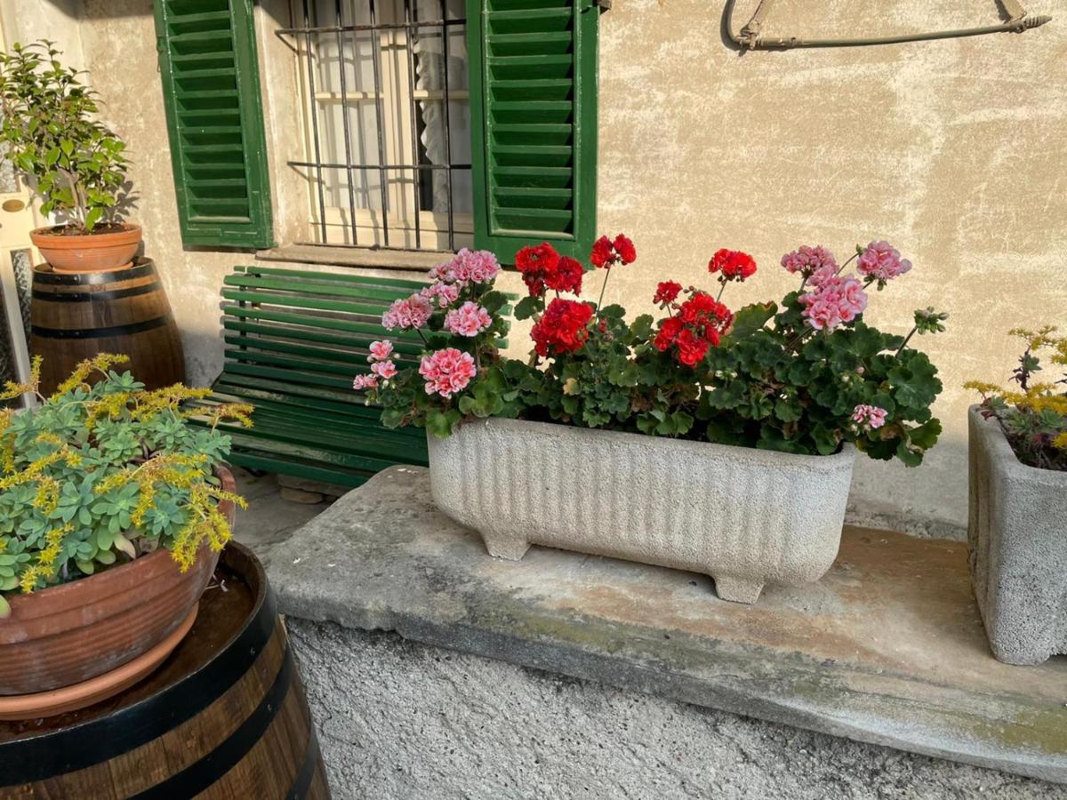 The Montevecchia Home - Frida Apartment Екстериор снимка